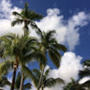 Meet your Posher, Maggie